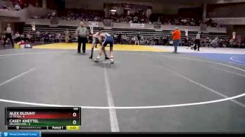 105 lbs Semis & 1st Wrestleback (8 Team) - Casey Knettel, Holdingford vs Alex Dlouhy, St. Peter