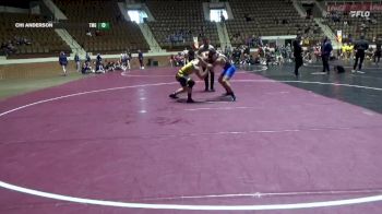 174 lbs Round 2 (10 Team) - Chi Anderson, Truett-McConnell (Ga.) vs Kriecg Roe, Lindsey Wilson (Ky.)