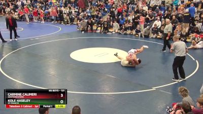 131 lbs Semifinal - Carmine Calimeri, Southwestern vs Kole Haseley, St Francis