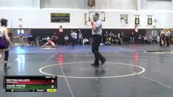 113 lbs Round 3 - Chase Mason, North Royalton, OH vs Peyton Halleck, Wadsworth