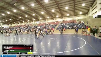 138 lbs Quarterfinal - Logan Obert, Nevada vs Zane Avery, California