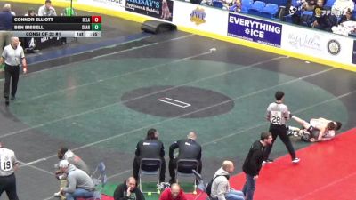 110 lbs Consi Of 32 #1 - Connor Elliott, Delaware Valley vs Ben Bissell, Sharpsville