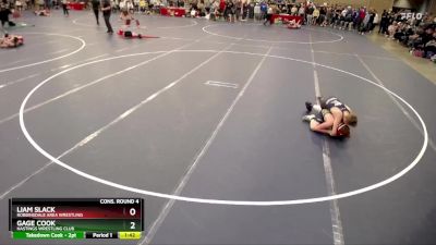 102 lbs Cons. Round 4 - Gage Cook, Hastings Wrestling Club vs Liam Slack, Robbinsdale Area Wrestling