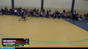 70 lbs Cons. Round 3 - Brevyn Doeden, Ironhawk Wrestling vs Ben Hammarsten, PINnacle Wrestling