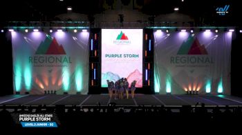 Amistad Eagles All Stars - PURPLE STORM [2025 L2 Junior - D2 Day 2] 2025 The Southwest Regional Summit