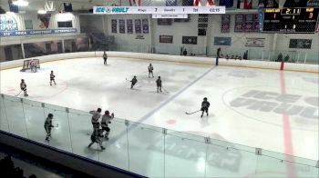Replay: Home - 2024 Kings 10U vs Bandits 10 White | Feb 10 @ 7 AM