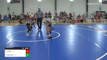 67 lbs Prelims - Cruz Clem, Lions Wrestling Academy vs Drew Barnes, Apex