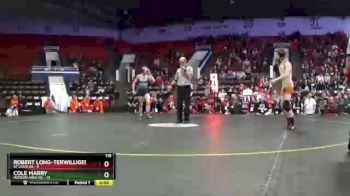 119 lbs Semifinals (8 Team) - Cole Marry, Hudson Area HS vs Robert Long-Terwilliger, St Louis HS