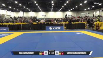 Tarcisio Damasceno Santos vs Diallo A Braithwaite 2025 World IBJJF Jiu-Jitsu No-Gi Championship