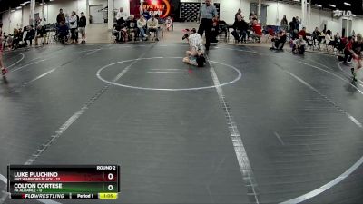 80 lbs Round 2 (4 Team) - Luke Pluchino, Mat Warriors Black vs Colton Cortese, PA Alliance