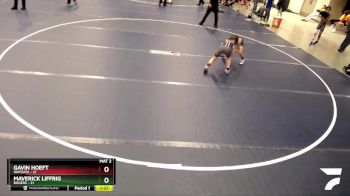 84 lbs Finals (2 Team) - Gavin Hoeft, Wayzata vs Maverick Liffrig, Rogers