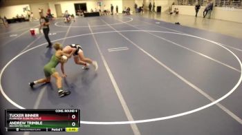 133 Championship Bracket Cons. Round 4 - Tucker Binner, Plainview Elgin Millville vs Andrew Trimble, Rochester Mayo