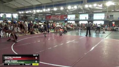 80 lbs Quarterfinal - Payton Vaughan, Ground Zero vs James Danko, South Hills Wrestling Academy