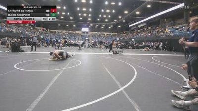 197 lbs Cons. Round 2 - Anthony Estrada, Hastings (Neb.) vs Jacob Schipper, Concordia (Neb.)