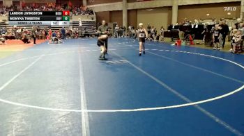 Replay: Mat 4 - 2026 2026 NYWA State Tournament | Mar 29 @ 10 AM