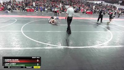 110 lbs Quarterfinal - Liam Carey, Sarbacker Wrestling Academy vs Aaron Olson, Chetek-Weyerhaeuser