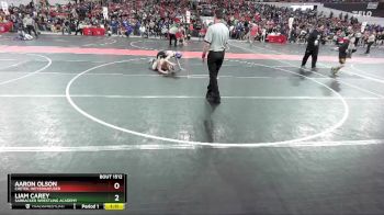 110 lbs Quarterfinal - Liam Carey, Sarbacker Wrestling Academy vs Aaron Olson, Chetek-Weyerhaeuser