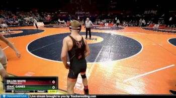 2A 138 lbs Quarterfinal - Izaac Gaines, Geneseo vs Dillon White, Mt. Vernon (H.S.)