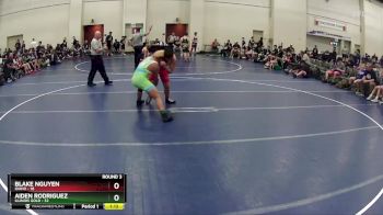 175 lbs Round 3 (6 Team) - Blake Nguyen, Idaho vs Aiden Rodriguez, Illinois Gold