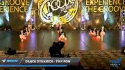 Dance Dynamics - Tiny Pom [2020 Tiny - Pom Day 2] 2020 Encore Championships: Houston DI & DII