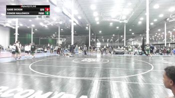 128 lbs Rr Rnd 1 - Gabe Dickun, Central Dauphin vs Conor Hallowich, Pocono Mountain Regional Wrestling Club - HS