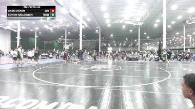 128 lbs Rr Rnd 1 - Gabe Dickun, Central Dauphin vs Conor Hallowich, Pocono Mountain Regional Wrestling Club - HS