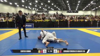 Adriano Ferreira De Araujo E Sil vs Curtis B Simms 2025 World Master IBJJF Jiu-Jitsu Championship