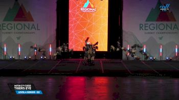 Motor City Cheer - Tigers Eye [2025 L4 Senior - D2 04/12/2025] 2025 The Midwest Regional Summit