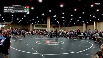 125 lbs Cons. Round 3 - Gavin Phillips, Panther Paws Youth Wrestling vs Karl Schutz, Ironclad