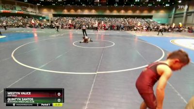 58-62 lbs Round 1 - Westyn Valice, USA GOLD vs Quintyn Santos, Buckaroo Wrestling Club