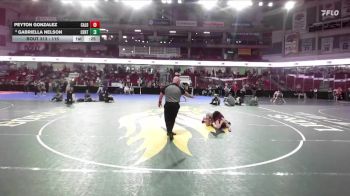 115 lbs Cons. Round 4 - Peyton Gonzalez, Caldwell vs Gabriella Nelson, Centennial
