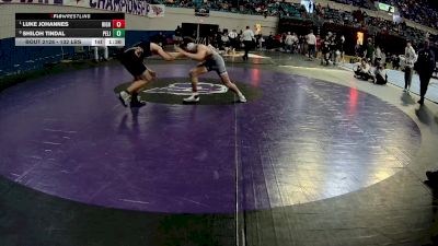 132 lbs Quarterfinal - Luke Johannes, High Point Academy vs Shiloh Tindal, Pelion