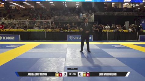Emir William Lynn vs Joshua Burt Nelson 2025 Pan Kids Jiu-Jitsu IBJJF Championship