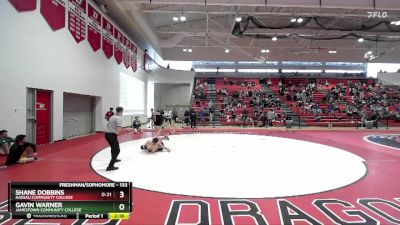 133 lbs Cons. Round 3 - Shane Dobbins, Nassau Community College vs Gavin Warner, Jamestown Community College