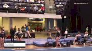 Tia Duhachek - Women's Group, Salute Gymnastics - 2021 Women's Xcel Region 4 Championships