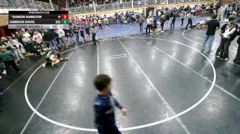 165 lbs Champ. Round 2 - Damion Hamilton, Post Falls vs Jameson Davis, Selkirk