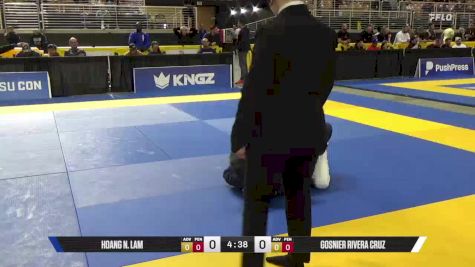 Gosnier Rivera Cruz vs Hoang N. Lam 2025 Pan Jiu Jitsu IBJJF Championship