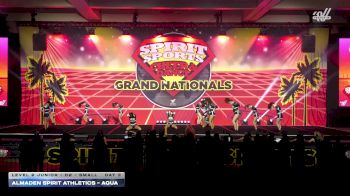 Almaden Spirit Athletics - Aqua [2026 L2 Junior - D2 - Small Day 3] 2026 Spirit Sports Grand Nationals