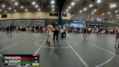 100 lbs Round 2 (4 Team) - Ethan Halstead, Warhawks Wrestling vs Hal Rosenzweig, Junior Terps Xtreme