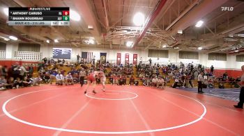 215 lbs Final - Anthony Caruso, Pinkerton Academy vs Shawn Boudreau, Alvirne