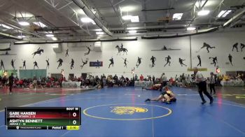 133 lbs Round 4 (10 Team) - Gabe Hansen, Ohio Northern 2 vs Ashtyn Bennett, Adrian 2