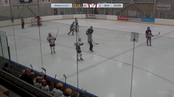 Replay: Home - 2024 STA Raiders vs Buffaloes | Dec 8 @ 1 PM