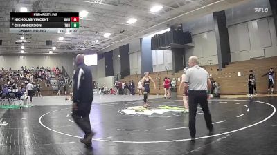 165 lbs Champ. Round 1 - Chi Anderson, Truett McConnell University vs Nicholas Vincent, West Virginia University Institute Of Technology