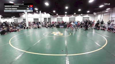 225 lbs Derrick DePetris, Florida vs Treyton Werth, Michigan Blue
