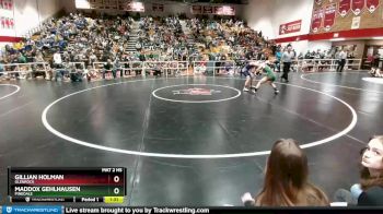 110 lbs Semifinal - Maddox Gehlhausen, Pinedale vs Gillian Holman, Glenrock