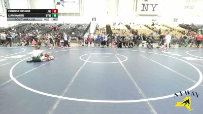 138 lbs Champ. Round 3 - Connor Helwig, Journeymen Wrestling Club vs Liam Harte, Malone Youth Wrestling Club