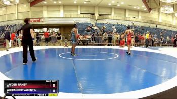 132 lbs Champ. Round 2 - Jayden Raney, KY vs Alexander Valentin, IL