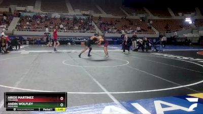 D1-150 lbs Champ. Round 1 - Arios Martinez, Tolleson vs Andin Wolfley, Highland