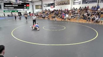 141 lbs Quarterfinal - Branson Weaver, Wabash vs Cole Thomas, Thomas More