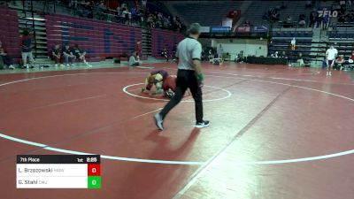 125 lbs 7th Place - Logan Brzozowski, Harvard vs Grant Stahl, Central Michigan